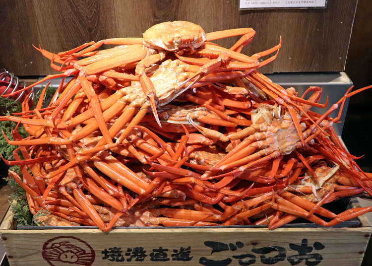 上野「境港直送螃蟹处GOZZO」午间吃到饱方案，整只螃蟹吃透透
