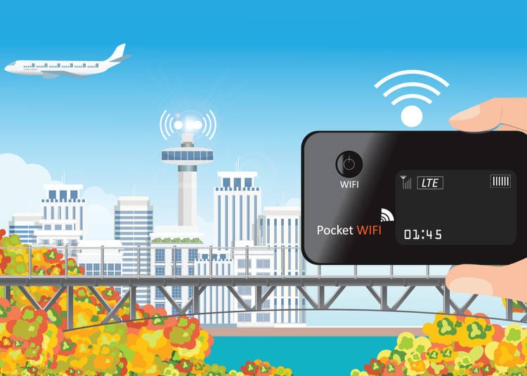 3. Pocket Wi-Fi / SIM Card