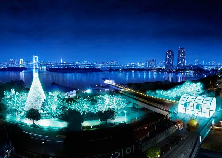 5. 東京湾の夜景とレインボーブリッジを背景に、約22万球が輝く～「お台場イルミネーション“YAKEI” 冬Ver.」