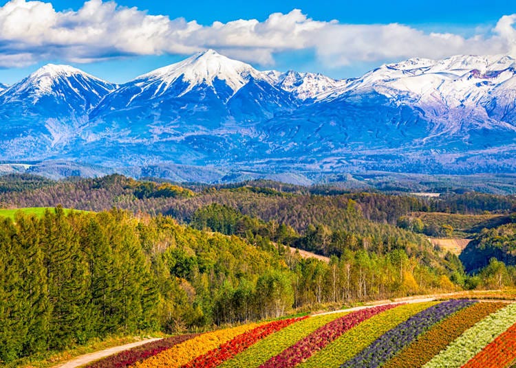 Great food, skiing, and beautiful scenery - There’s a lot to enjoy in Hokkaido