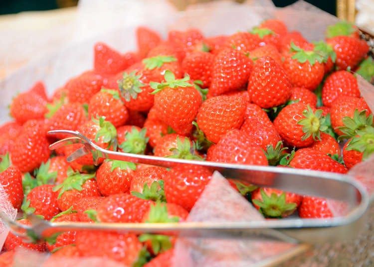 日本草莓祭！甘王、紅頰日本草莓品種任你吃