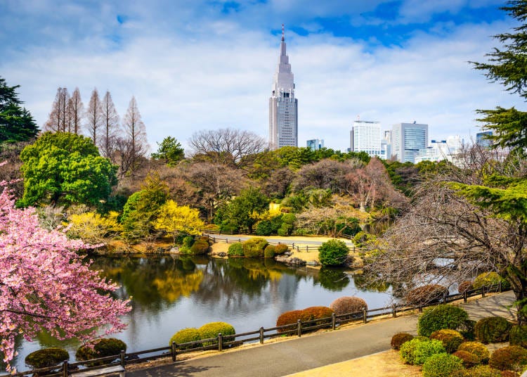 東京遊必做清單④在東京都探訪自然、逛展覽