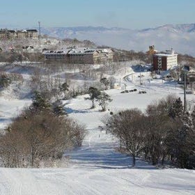 Two-day ski trip to Nagano Madarao Ski Resort, including accommodation and lift tickets