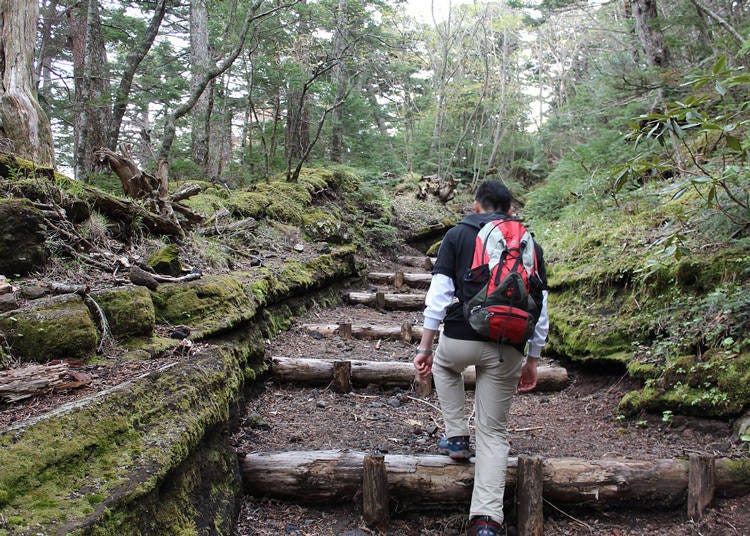 爬富士山的四條登山路線