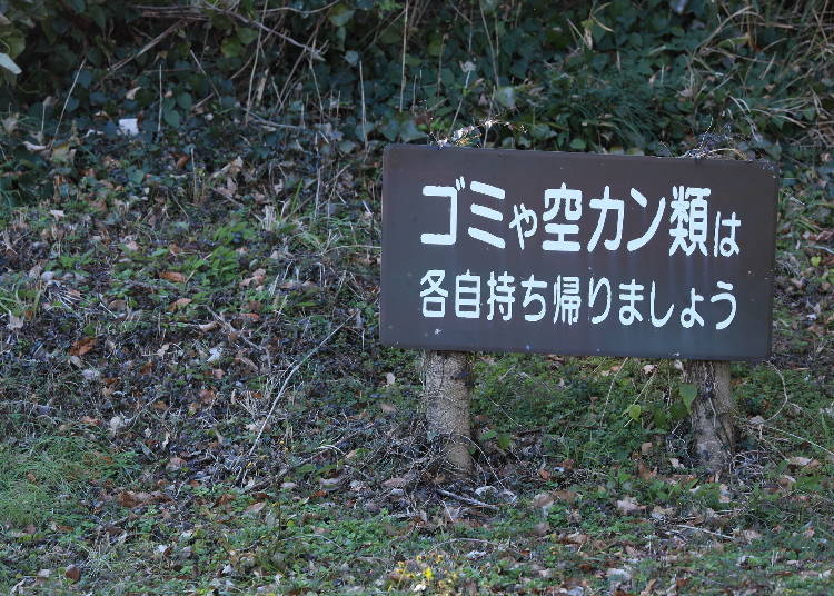 圖片來源：PIXTA