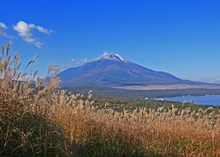 Photo courtesy of Yamanashi Tourism Promotion Organization