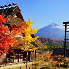 富士山 荒倉山浅間公園&伝統的な日本の村 観光ツアー
(画像:Klook)