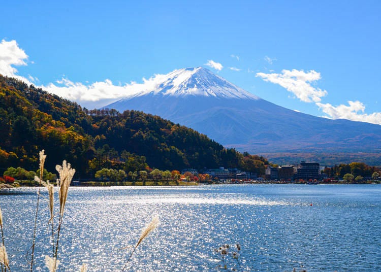 What made you decide to travel around Mt. Fuji?