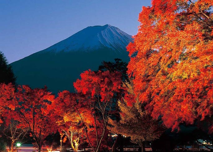 A Virtual Tour Top 10 Mt Fuji Scenic Viewpoints At The Fuji Five Lakes Area Live Japan Travel Guide