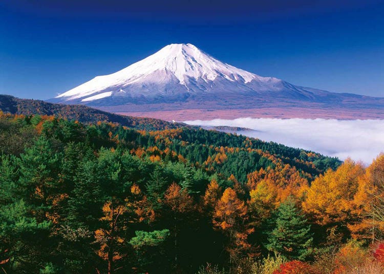 5. 日本一綺麗な富士山が見れることで有名な「忍野村」