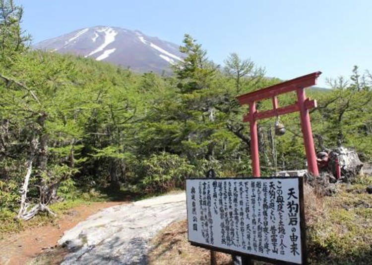 「富士山五合目奥庭」　画像参考元：（一社）富士五湖観光連盟