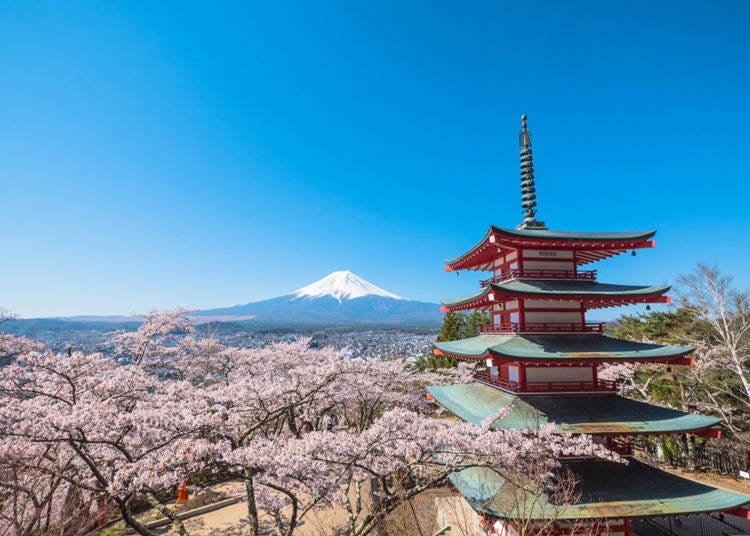 「新倉山淺間公園」　照片參考來源：富士吉田市富士山課