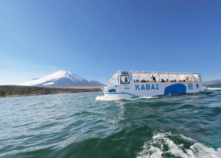 ⑤搭乘水陸兩用巴士「YAMANAKAKO NO KABA」山中湖探險
