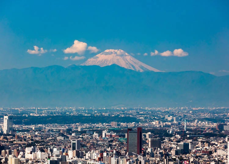 5. Roppongi Hills Observatory Tokyo City View: Great place to see Mount Fuji and the stars