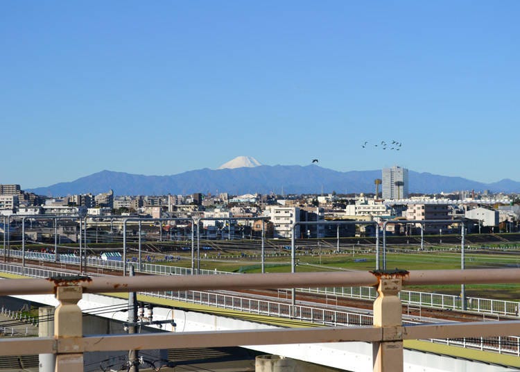10. Tama River Asama Shrine: Where Mount Fuji, Tama River, and trains line up!