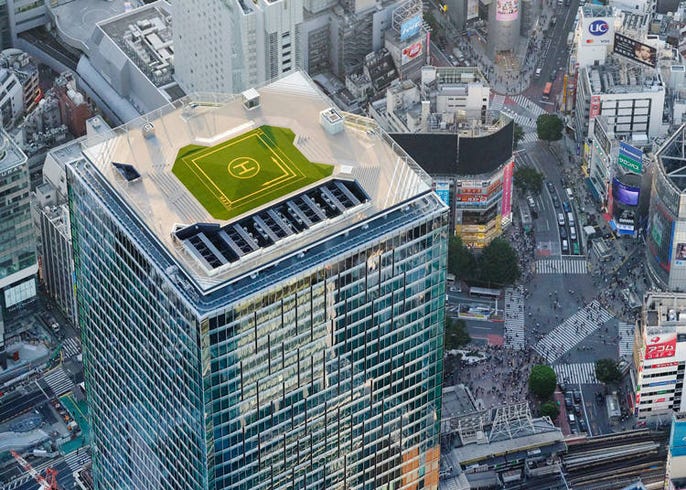 東京から富士山が見える撮影スポット10選 渋谷スカイなど新スポットから穴場まで Live Japan 日本の旅行 観光 体験ガイド