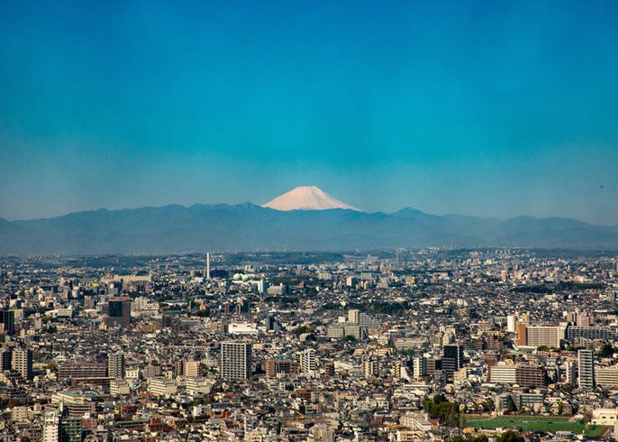東京から富士山が見える撮影スポット10選 渋谷スカイなど新スポットから穴場まで Live Japan 日本の旅行 観光 体験ガイド