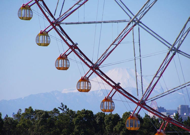 9. 日本最大級の観覧車越しに富士山を眺められる「葛西臨海公園」