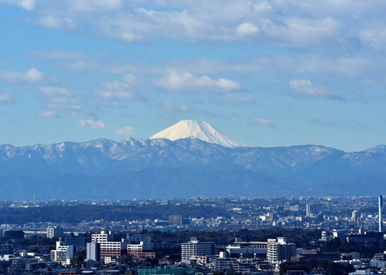 从东京也能看见富士山的景点4. 在松软沙发上眺望富士山「Sky Carrot展望厅」