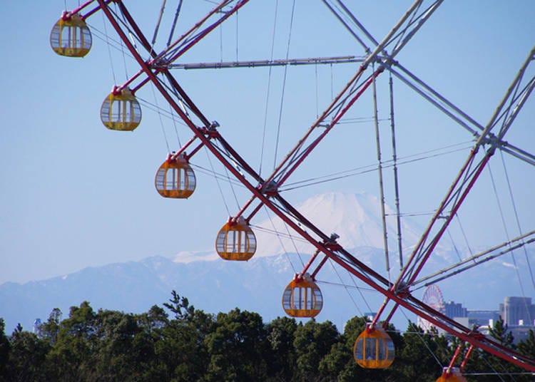 从东京也能看见富士山的景点9. 摩天轮与富士山共筑的趣味日本风景「葛西临海公园」