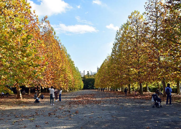 Good Sights Good Food And Good Hotels In The Sendagaya And Shinjuku Area Near Tokyo National Stadium Live Japan Travel Guide