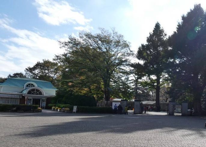 國立競技場 周邊千駄谷 新宿地區的推薦觀光景點 美食 住宿總整理 Live Japan 日本旅遊 文化體驗導覽