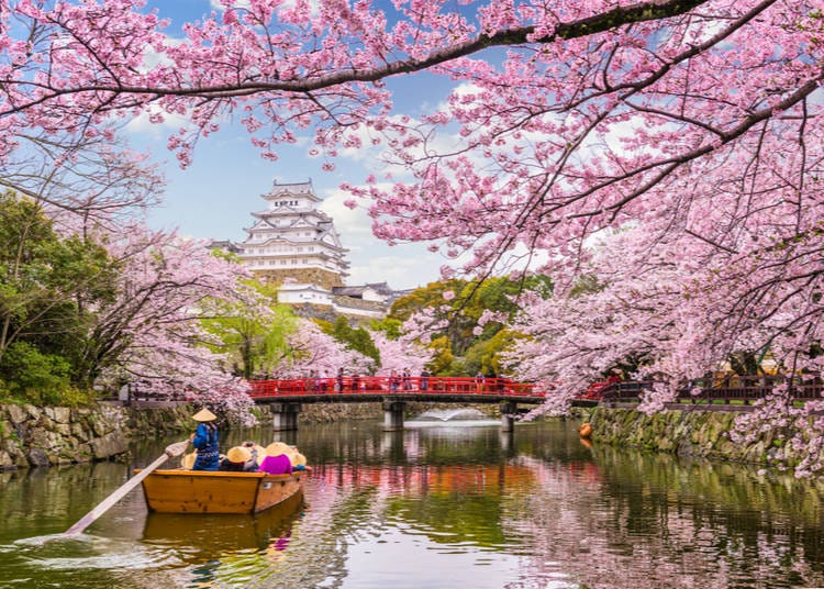 (Peak Japan travel season in April)