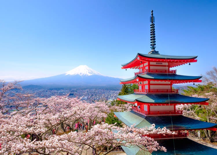 東日本の桜名所、山梨県富士吉田市の新倉山浅間公園から見た富士山と桜と五重塔（忠霊塔）