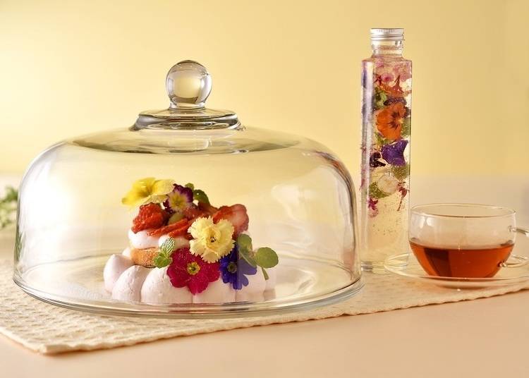 三島スカイウォーク「森のキッチン」のメニュー一例。ハーバリウムの中身は花のジュレ!苺とチーズのクリームで飾ったパンケーキの下は、チョコで コーティングしたバニラアイス。エルダーフラワーのジュレは、パンケーキにかけたり紅茶に入れたりして楽しめます
