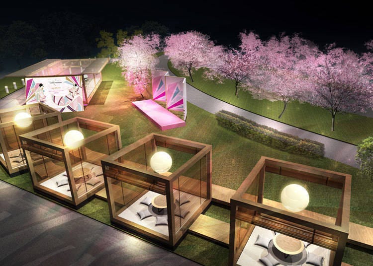 CHANDON Blossom Lounge booth image