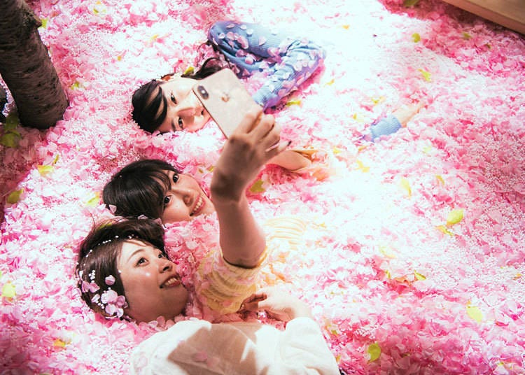 Image of SAKURA CHILL BAR 2020 by Saga. Maybe you can take a cool selfie while buried in 200,000 petals!?