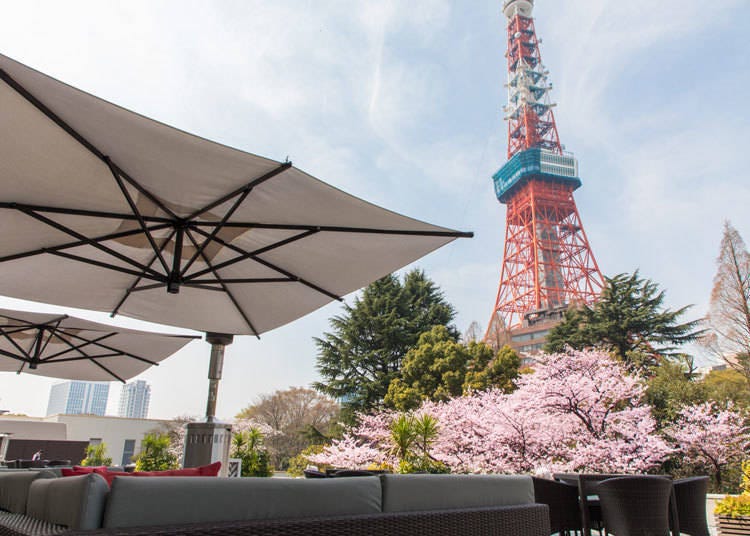 Scenery seen from "Cafe & Bar Tower View Terrace"