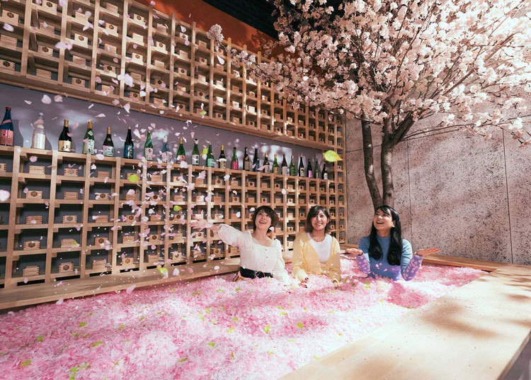 室内で、桜の木の下で120万枚の花びらに埋もれる「体験型インドア花見」