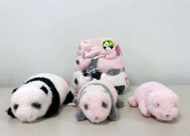 か、かわいい…！ 上野動物園に行ったら絶対買いたいパンダ土産ランキングTOP5