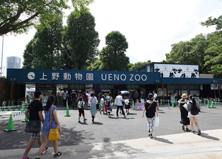 Picture credit: Tokyo Zoological Park Society