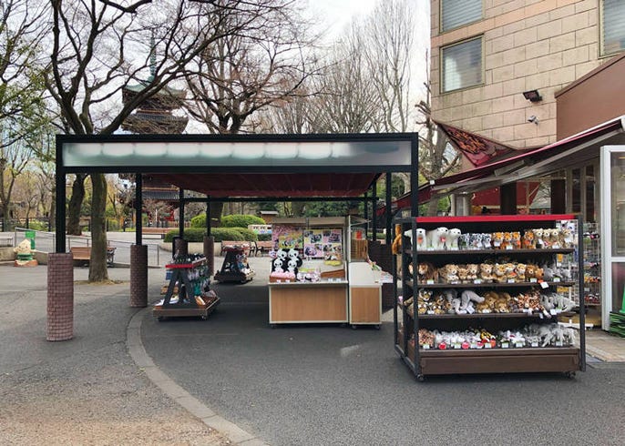 パンダだけじゃない 上野動物園に行ったら絶対買いたい店員さんおすすめのお土産5選 Live Japan 日本の旅行 観光 体験ガイド