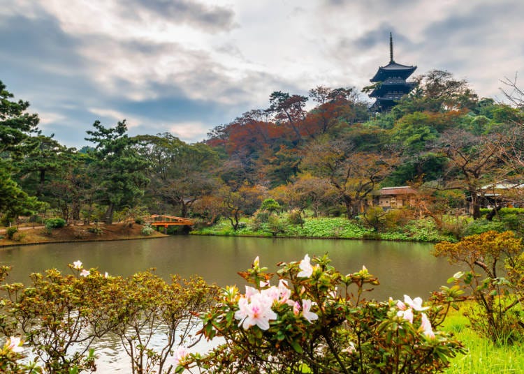 [번외편]조금 더 욕심을 내 관광을 즐기고 싶다면…일본적인 정취가 두드러진 정원 산케엔을 둘러 보자.