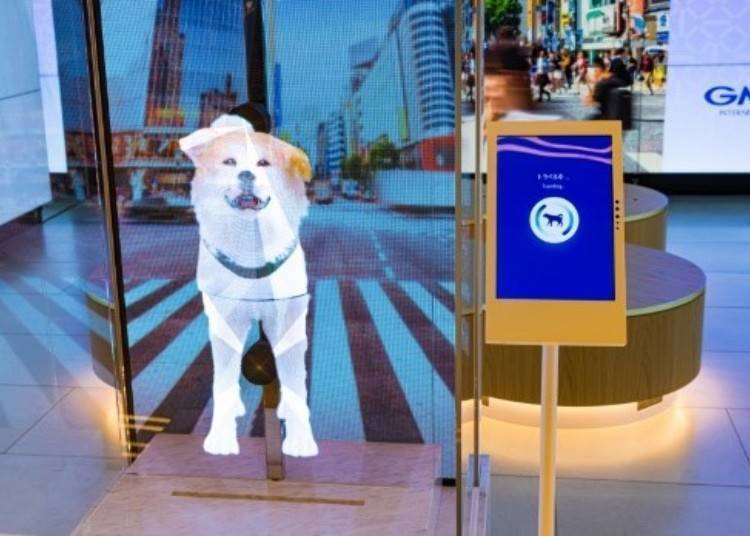 1:30 p.m.: Taking a commemorative photo with digital Hachiko at Tokyu Plaza Shibuya