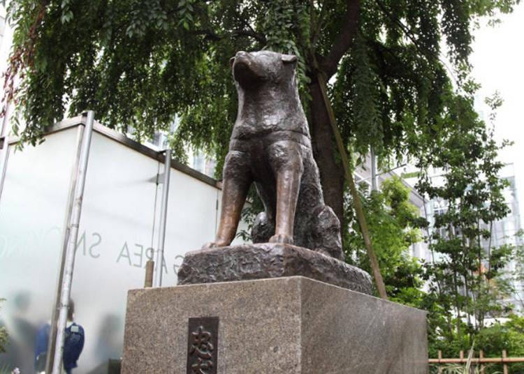 AM8:30　渋谷の名所「忠犬ハチ公像」から出発！