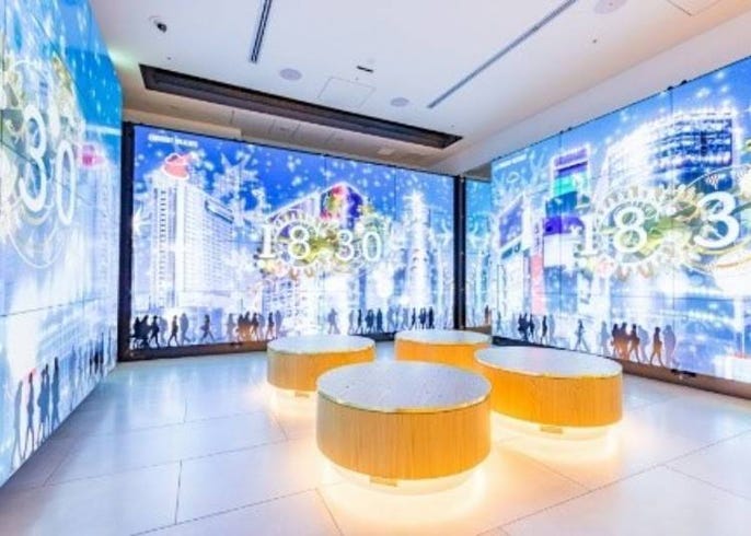 渋谷観光を一人で楽しむなら 地元民おすすめの穴場 最新スポットコース live japan 日本の旅行 観光 体験ガイド