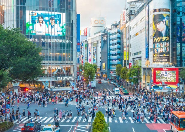 Top 20 Sightseeing & Shopping Spots in Shibuya