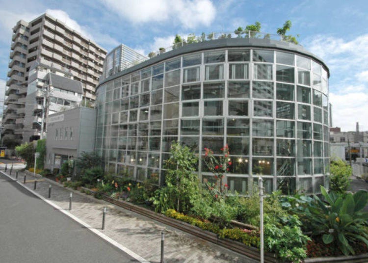 19. 日本で一番小さいといわれる植物園「渋谷区ふれあい植物センター」（休園中）