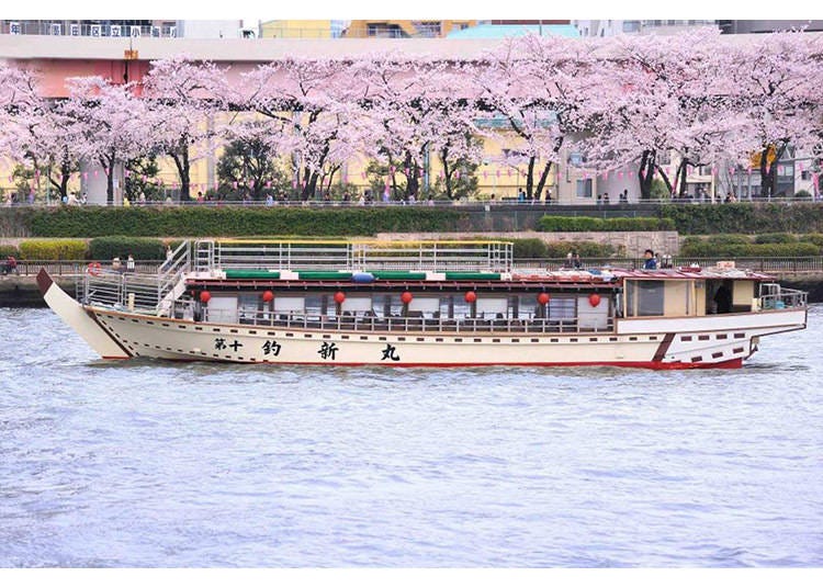 A yakatabune pleasure boat plying the Sumida River during cherry-blossom season