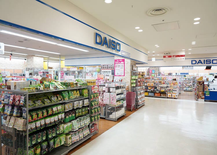 The Comprehensive Daiso Experience