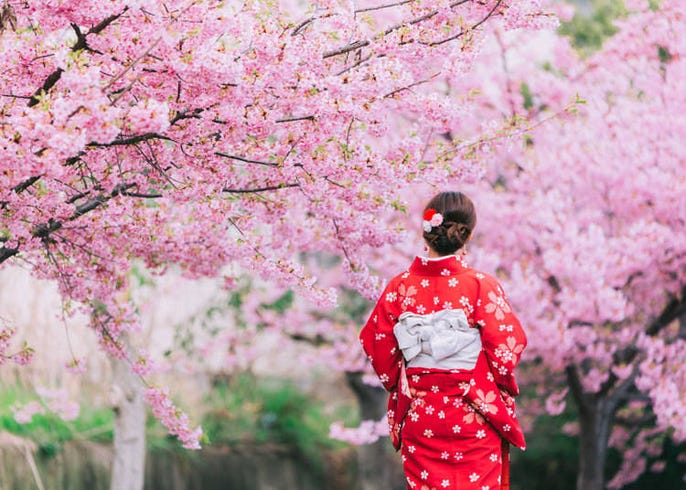 日本の春が好き 外国人リピーターが本音で語る 日本旅行は春にする理由 Live Japan 日本の旅行 観光 体験ガイド
