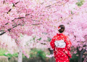 東京の桜名所おすすめ10選！ 一度は行きたい絶景＆人気の花見スポットはここ