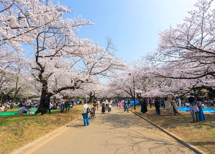 KanokpolTokumhnerd / Shutterstock.com