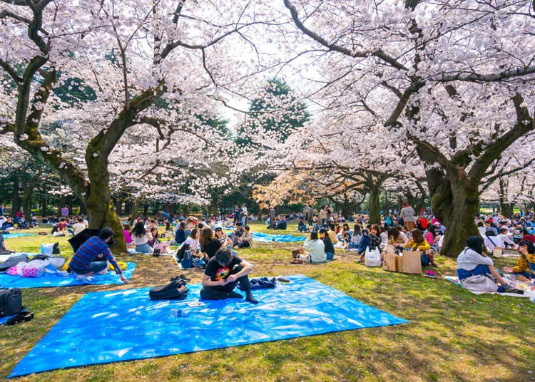 KanokpolTokumhnerd / Shutterstock.com