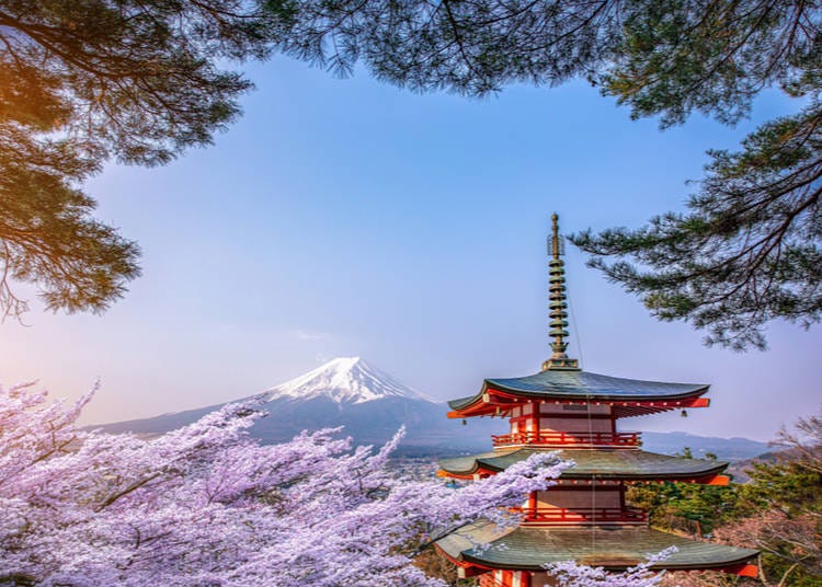 6. Japan is also known for its peace, quiet, beauty and contact with nature