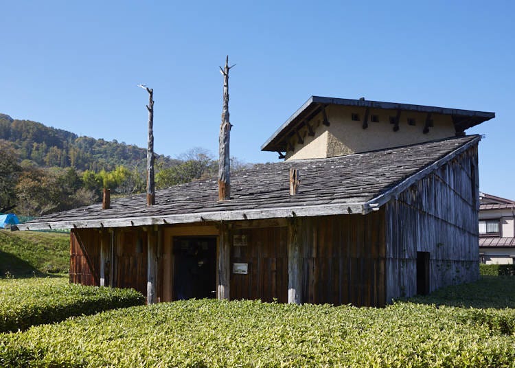 Jinchokan Moriya Historical Museum: Featuring Jomon architecture